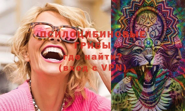 хмурый Надым