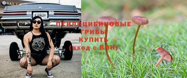 apvp Наволоки