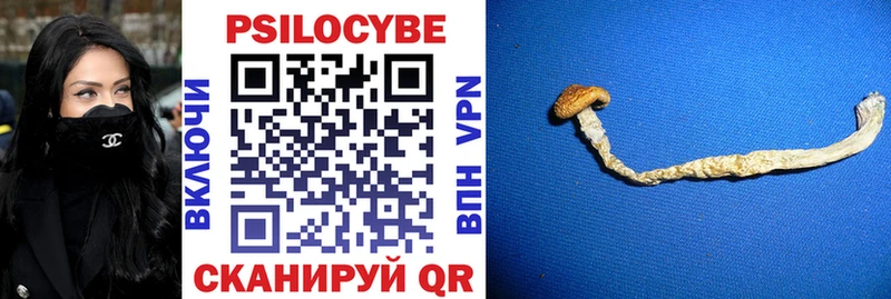 Галлюциногенные грибы GOLDEN TEACHER  Купить закладки  Скопин 