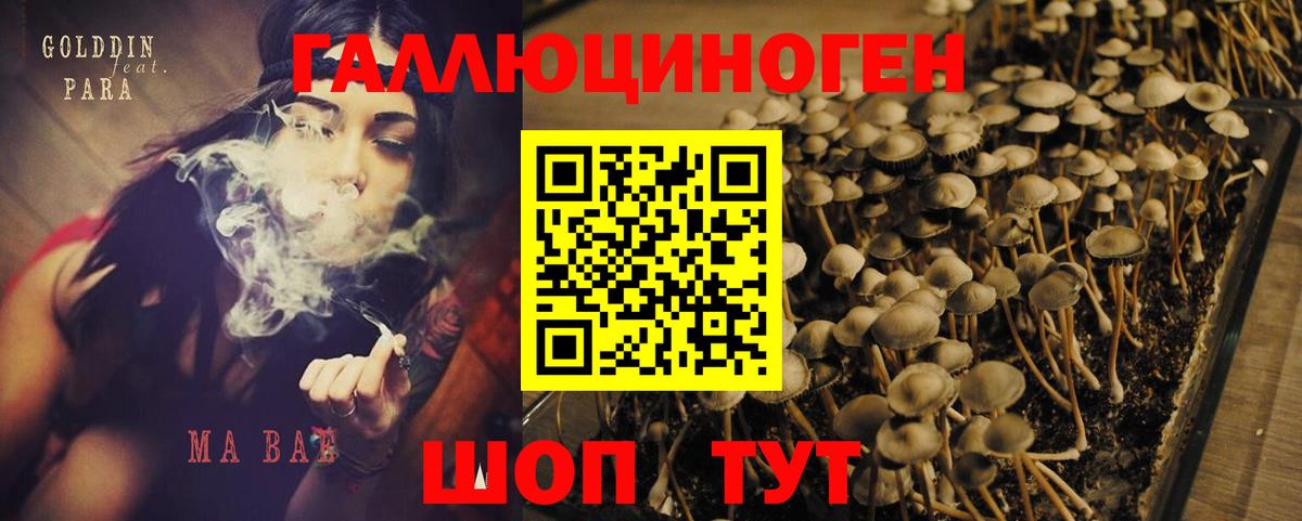 Псилоцибиновые грибы ЛСД Скопин