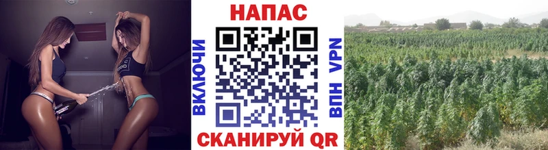 Марихуана White Widow  Купить где  Скопин 